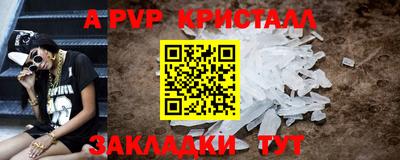 стаф Кунгур