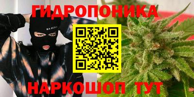 стаф Кунгур