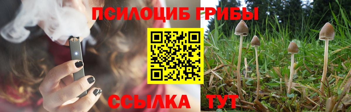 Псилоцибиновые грибы Magic Shrooms Шарыпово