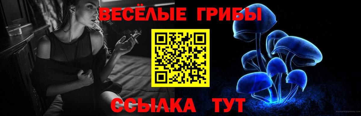 Галлюциногенные грибы Psilocybe  Вход с VPN  сколько стоит  Шарыпово 