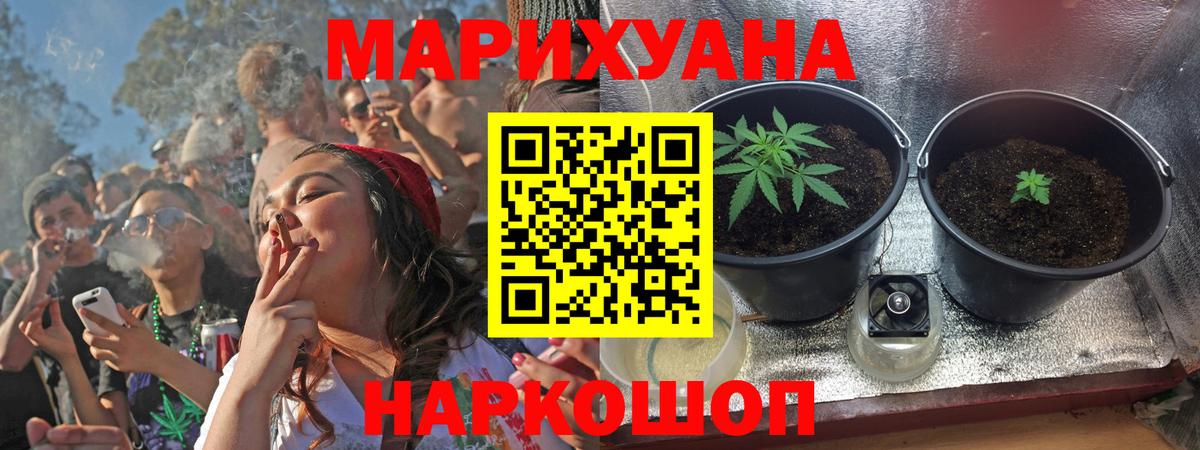 Конопля Bruce Banner Шарыпово